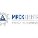 «Тамбовэнерго» напоминает правила подключения автономных источников питания «Тамбовэнерго» напоминает правила подключения автономных источников питания