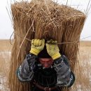 "Дельта" и прекрасная тяжесть бытия: о победителе национального конкурса ОМКФ "Дельта" и прекрасная тяжесть бытия: о победителе национального конкурса ОМКФ