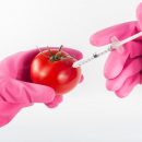 Продукты с ГМО в Евросоюзе должны продаваться со специальной маркировкой — решение суда
