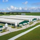 IEK GROUP поставила оборудование для крупнейшего свиноводческого комплекса в Европе IEK GROUP поставила оборудование для крупнейшего свиноводческого комплекса в Европе