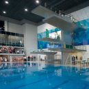 Чемпионат Европы по прыжкам в воду в 2019 году пройдет в Киеве