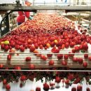 Крупнейший производитель томатной пасты построит завод по сушке овощей