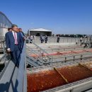 Крупнейший производитель томатной пасты открыл новую фабрику Крупнейший производитель томатной пасты открыл новую фабрику