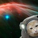 NASA выпустило шуточное приложение для селфи в космосе