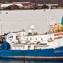 Украинские геологи завершили разведку залежей в Черном море